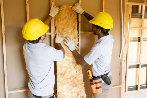 Best Insulation Air Sealing  in Electra, TX