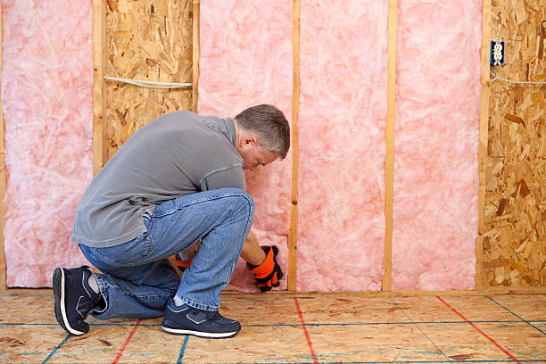 Best Soundproof Insulation  in Electra, TX